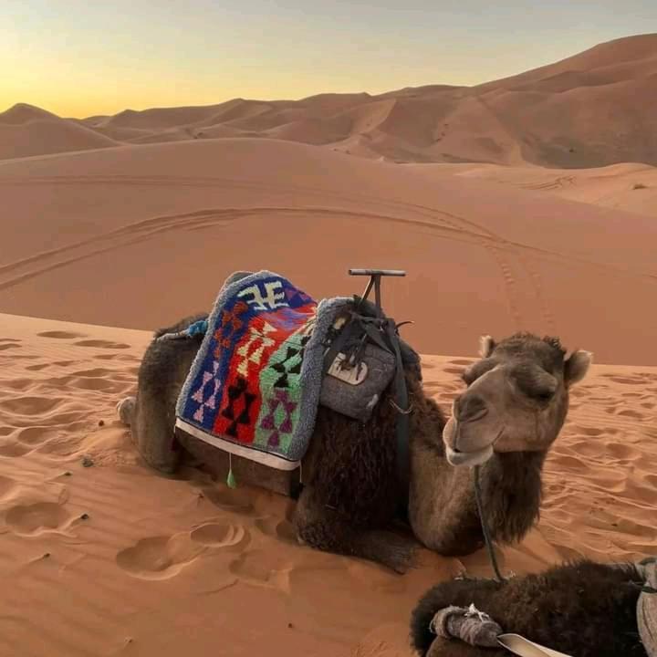 Kasbah Ait Arbi Ξενοδοχείο Ait Ougliff Εξωτερικό φωτογραφία