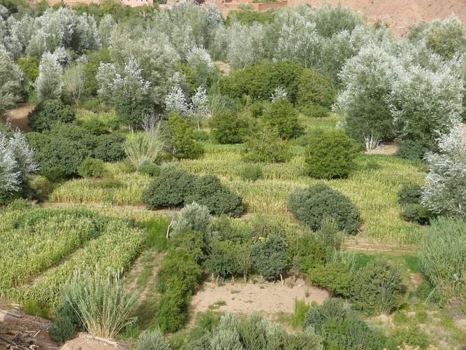 Kasbah Ait Arbi Ξενοδοχείο Ait Ougliff Εξωτερικό φωτογραφία